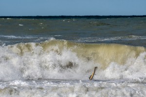 Surfing, surflifestyle