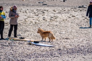 Surfing, surflifestyle