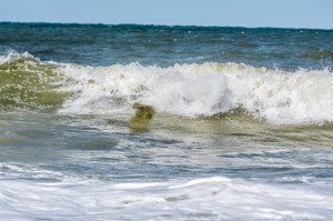 Surfing, surflifestyle